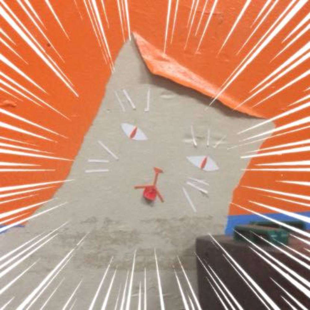 Meet your Posher, Kaitlyn